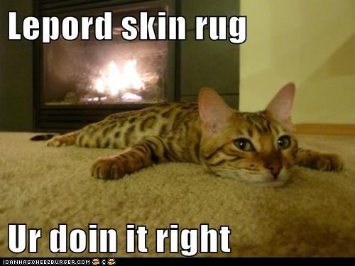 funny-pictures-lepord-skin-rug-ur-doin-it-right.jpg