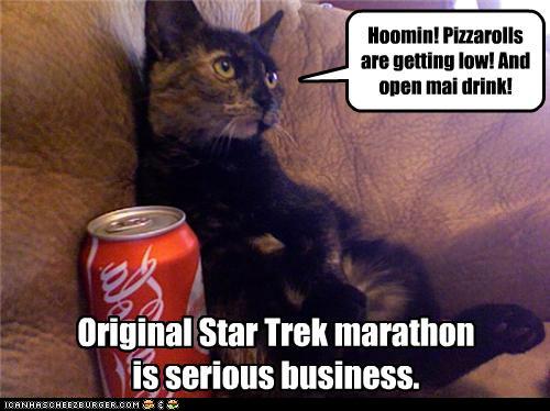 funny-pictures-like-a-boss.jpg