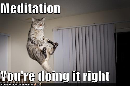funny-pictures-meditation-youre-doing-it-right.jpg