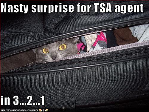 funny-pictures-nasty-surprise-for-tsa-agent.jpg