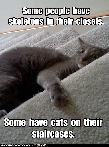 funny-pictures-some-people-have-skeletons-in-their-closets.jpg