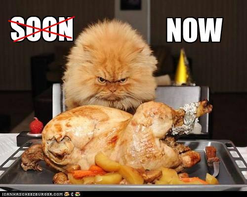 funny-pictures-soon.jpg