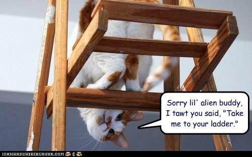 funny-pictures-sorry-lil-alien-buddy-i-tawt-you-said-take-me-to-your-ladder.jpg