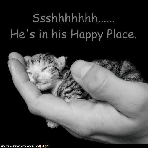 funny-pictures-squuuuuueeeeee.jpg