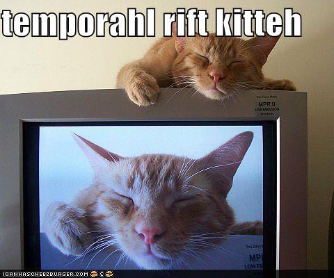 funny-pictures-temporahl-rift-kitteh.jpg