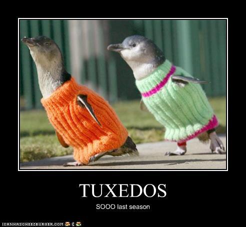 funny-pictures-tuxedos.jpg