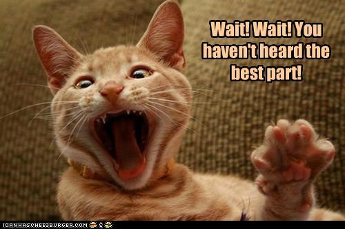 funny-pictures-wait-wait-you-havent-heard-the-best-part.jpg