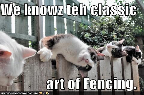 funny-pictures-we-knowz-teh-classic-art-of-fencing.jpg