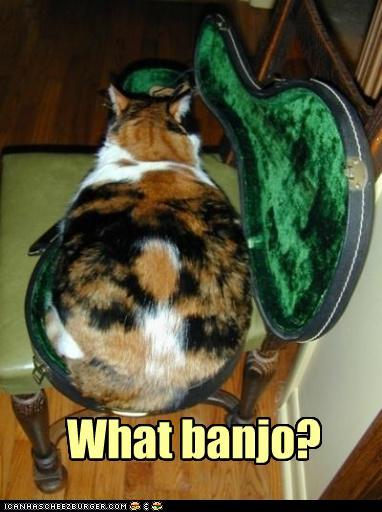 funny-pictures-what-banjo.jpg