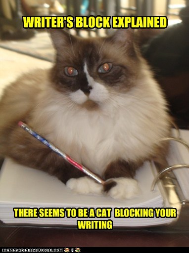 funny-pictures-writers-block-explained.jpg