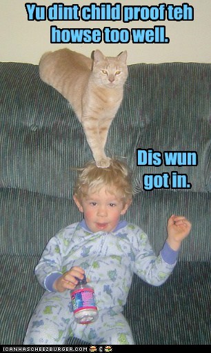 funny-pictures-yu-dint-child-proof-teh-howse-too-well.jpg