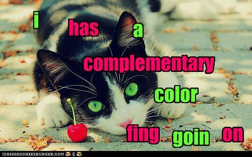 green-eyed-cat.jpg