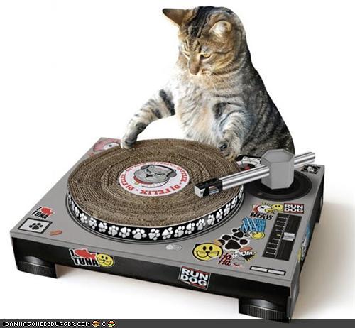 kitty-disc-jockey.jpg