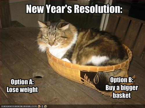 new-years-res-cat-in-basket.jpg