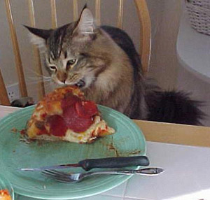 pizzaeater.jpg