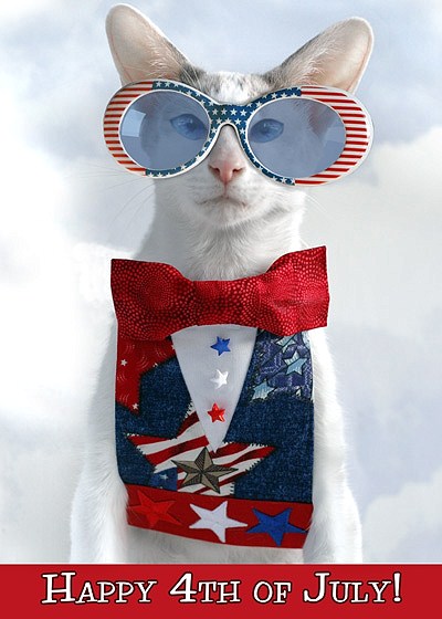4thjuly__smallcat.jpg