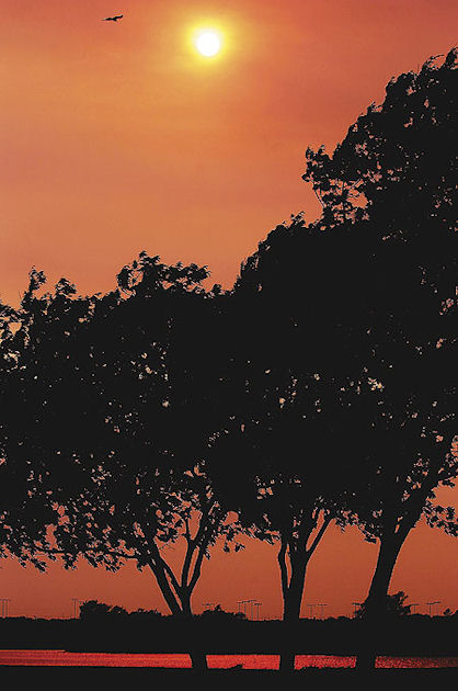 Denton_Co._with_smoky_skies.jpg