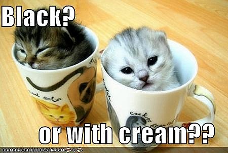 ICHC_black_or_cream.jpg