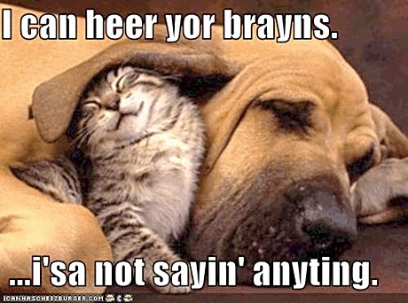 ICHC_brayns_not_sayin_anting.jpg