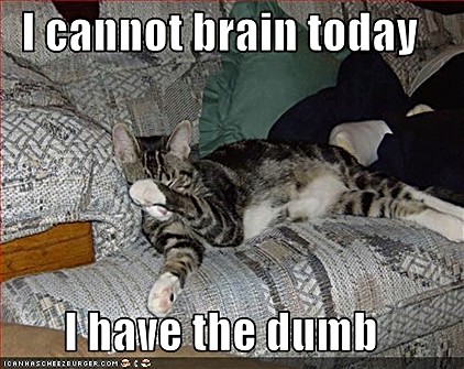 ICHC_cat-cannot-brain-today.jpg