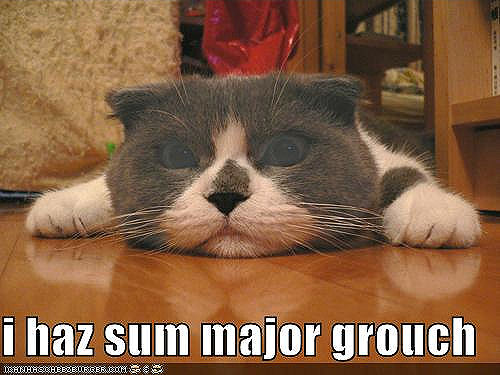 ICHC_cat_with_grouch.jpg