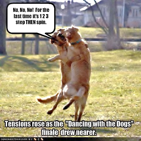 ICHC_doggy_dance.jpg