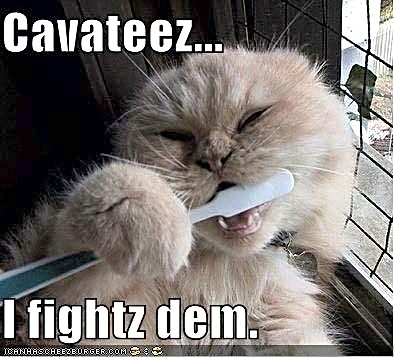 ICHC_fight__cavities.jpg