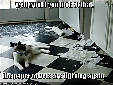 ICHC_fighting_paper_towels.jpg