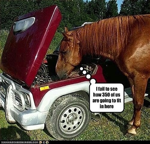 ICHC_horse_looks_at_engine.jpg