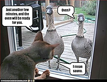 ICHC_kitty_and_geese.jpg