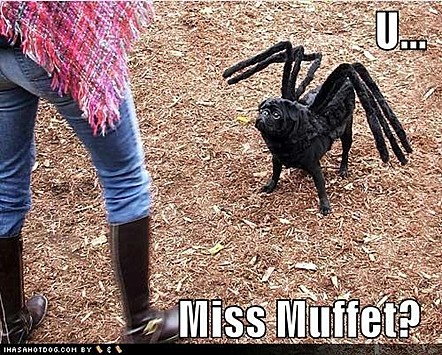 ICHC_missmuffet.jpg