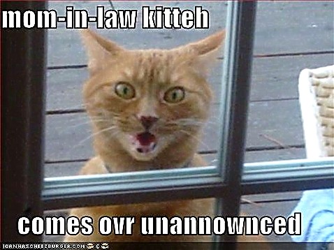 ICHC_mom_in_law.jpg