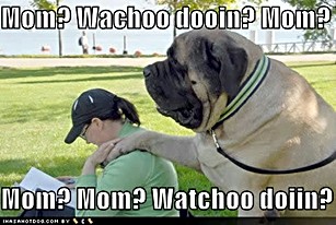 ICHC_mom_mom_whatchu_doin.jpg