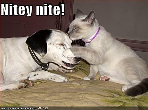 ICHC_nitey_nite.jpg