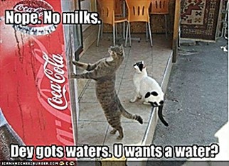 ICHC_no_milk_got_waters.jpg