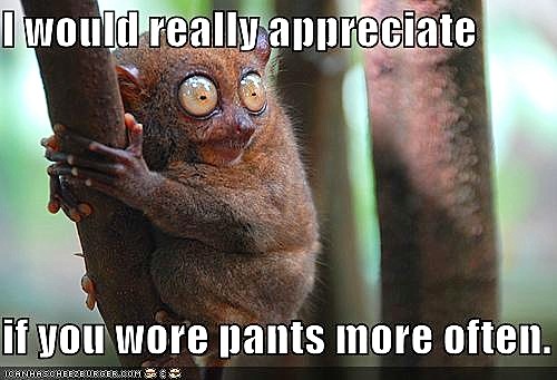 ICHC_pants.jpg