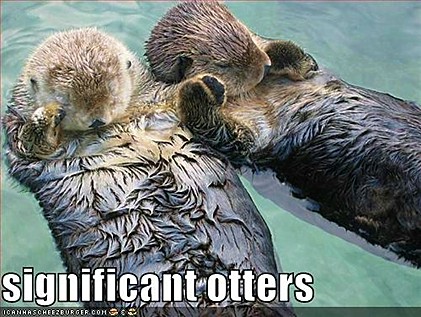 ICHC_significant_otters.jpg