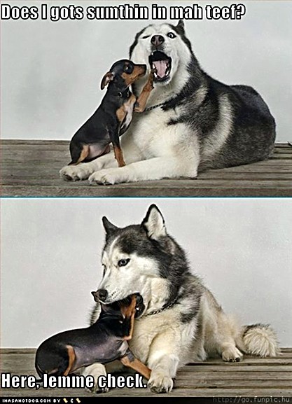 ICHC_something_in_teeth.jpg