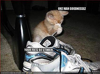 ICHC_stinkin_feet.jpg