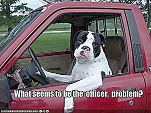 ICHC_what_is_officer_problem.jpg