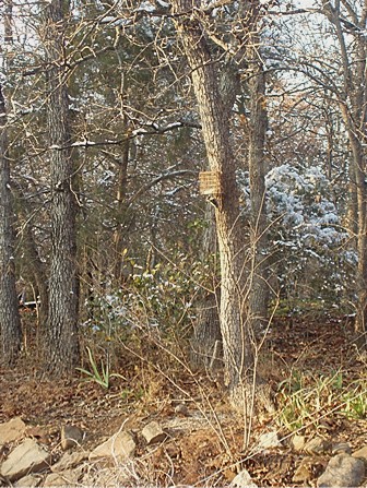 OutbackFeb.207.jpg