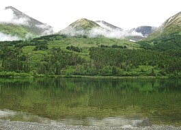 SceneatSummitLodgeLake.jpg