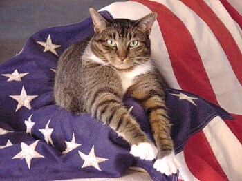 SimonUSA.jpg