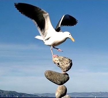 balancing_bird.jpg