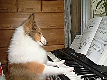 cute_animal_18.jpg