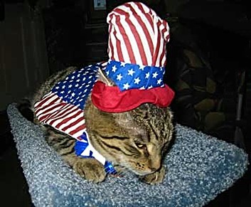 cute_animal_26.jpg
