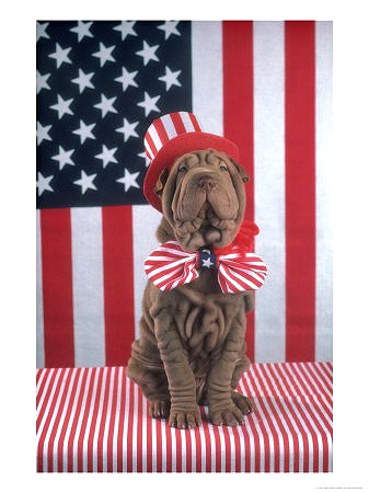 patriotdog.jpg
