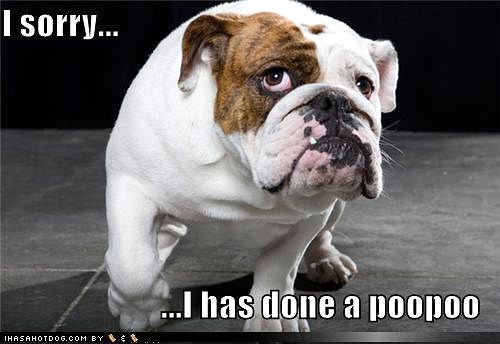 sorry_I_poopoo.jpg