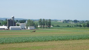 Amish-Country1.jpg