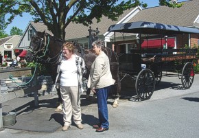 Amish-HorseBuggy.jpg